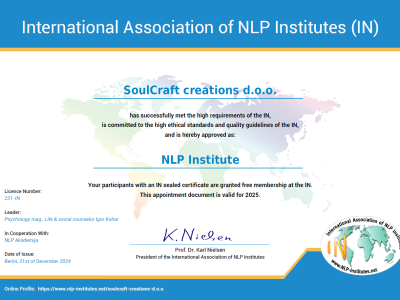 NLP INSTITUT NLP INSTITUT